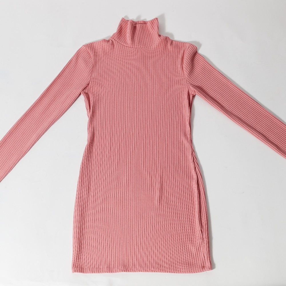 Urban Outfitter's Pink Turtleneck Dress